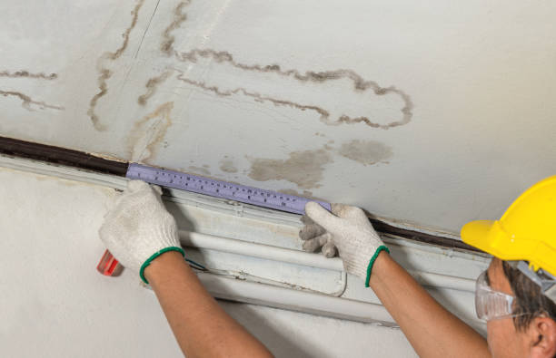 Reliable Flood Cleanup contractor in Woodridge, IL by Water Damage Irwin